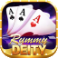 what is rummy